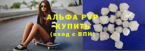 индика Ленинск