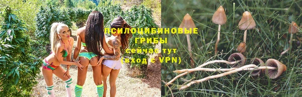 эйфоретик Ленинск-Кузнецкий