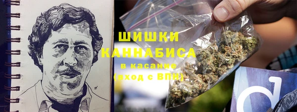PSILOCYBIN Костерёво