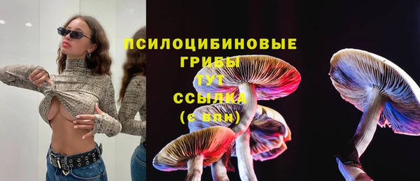 PSILOCYBIN Костерёво
