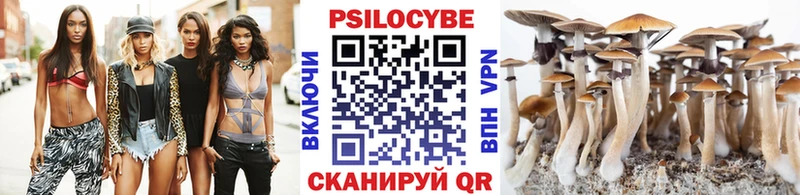 blacksprut сайт  купить наркотик  Афипский  Псилоцибиновые грибы мицелий 